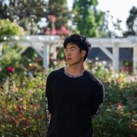 王天奇