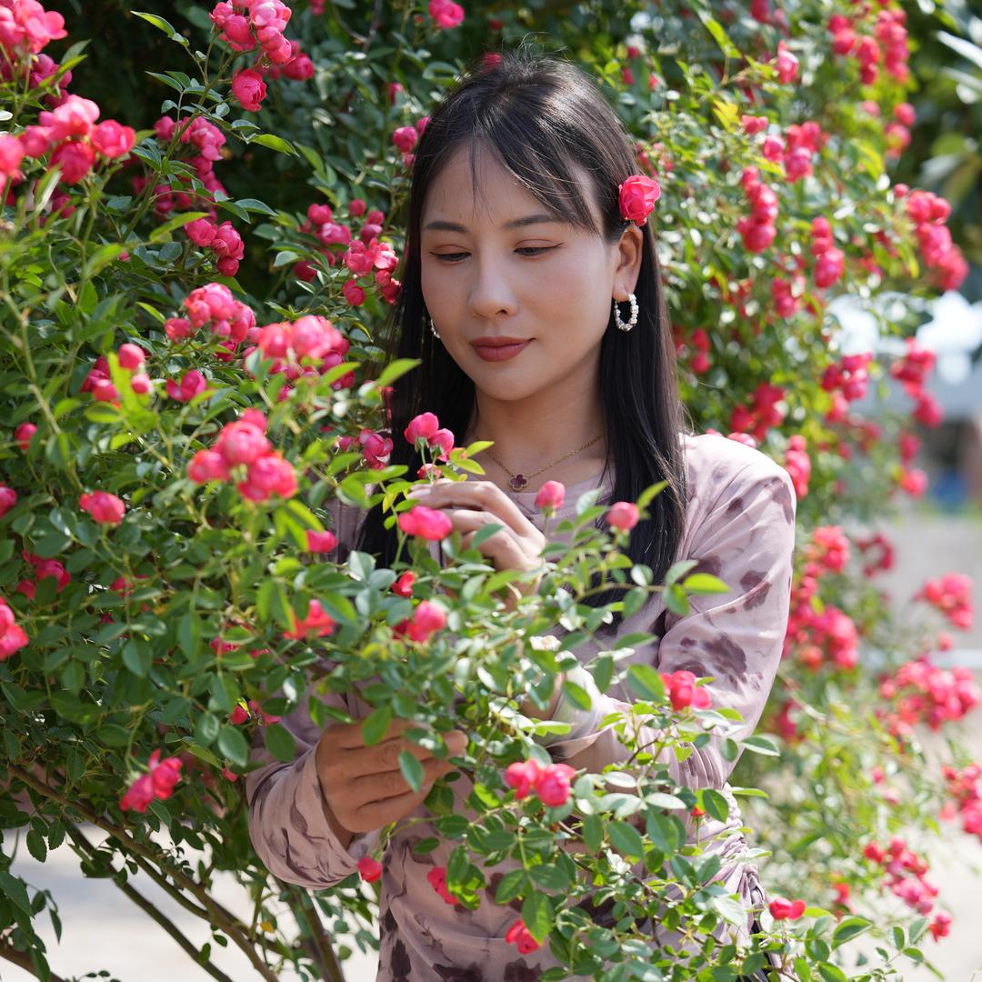 花花家的生活