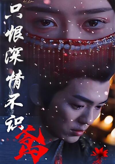 只恨深情不识鸢