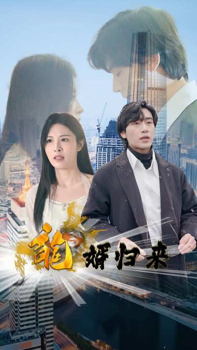 龍婿歸來