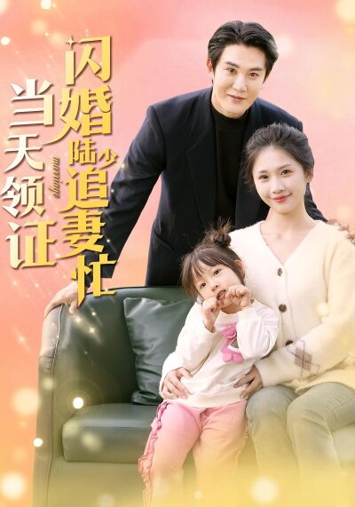 當天領證，閃婚陸少追妻忙