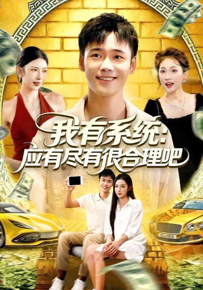 我有系统:应有尽有很合理吧