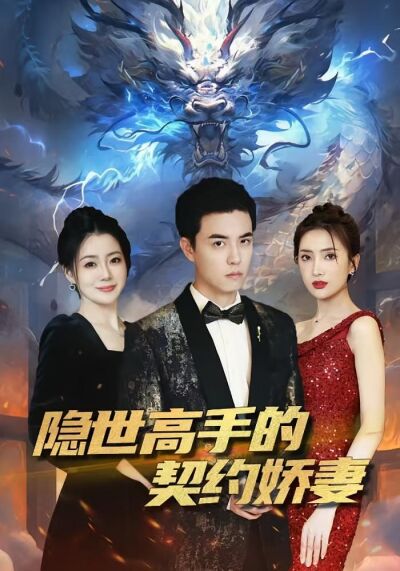 隐世高手的契约娇妻