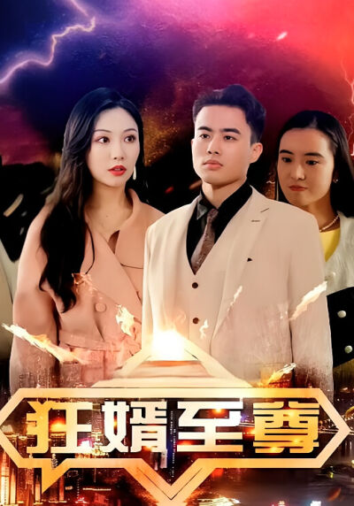 狂婿至尊