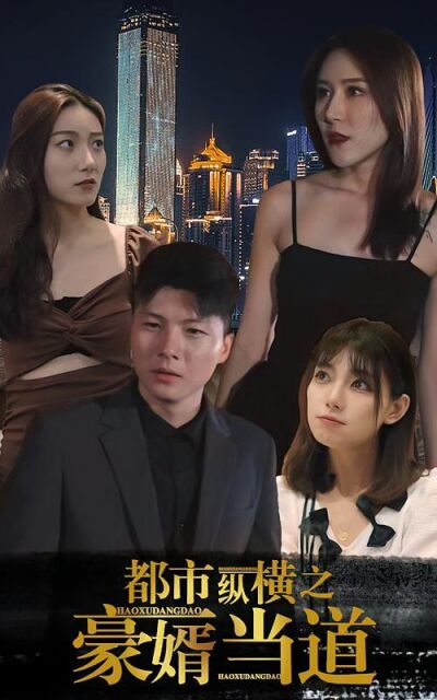 都市縱橫之豪婿當道