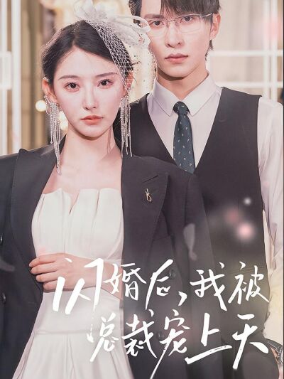 闪婚后，我被总裁宠上天