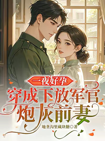 一夜好孕：穿成下放軍官炮灰前妻