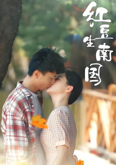 红豆生南国