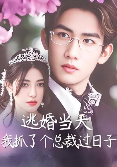 逃婚当天我抓了个总裁过日子