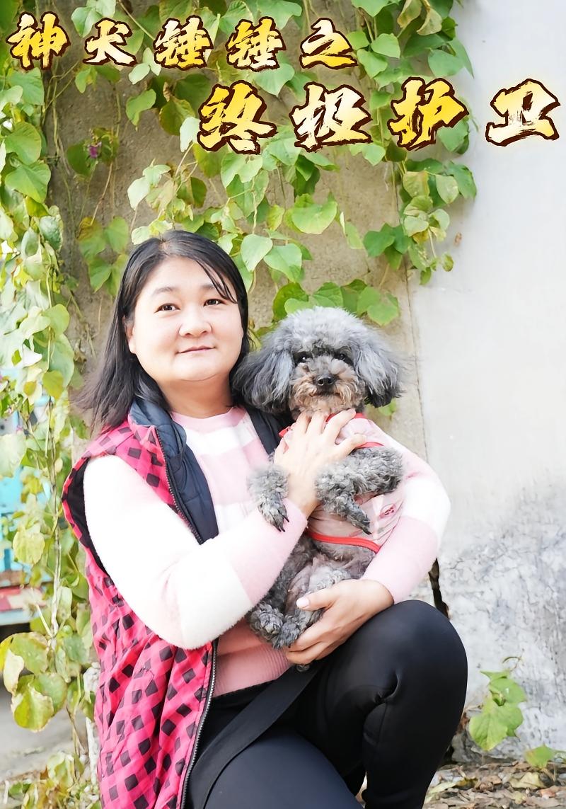 神犬錘錘之終極護衛