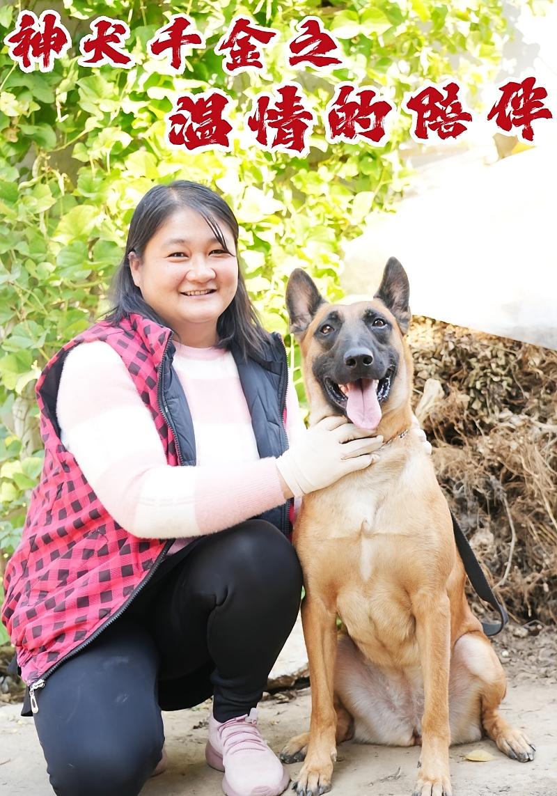 神犬千金之溫情的陪伴