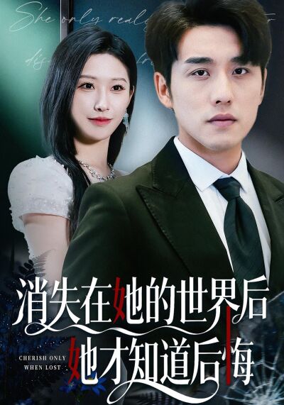 消失在她的世界后她才知道后悔