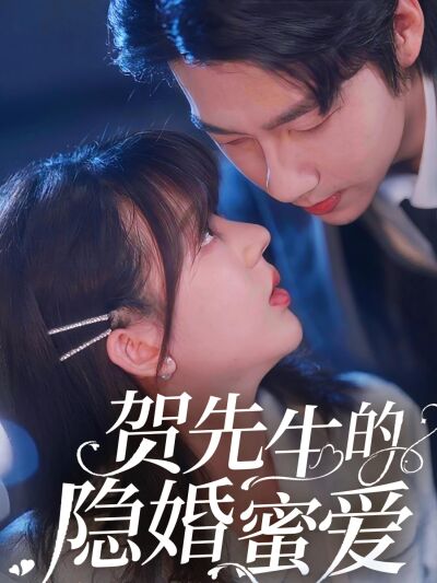 贺先生的隐婚蜜爱