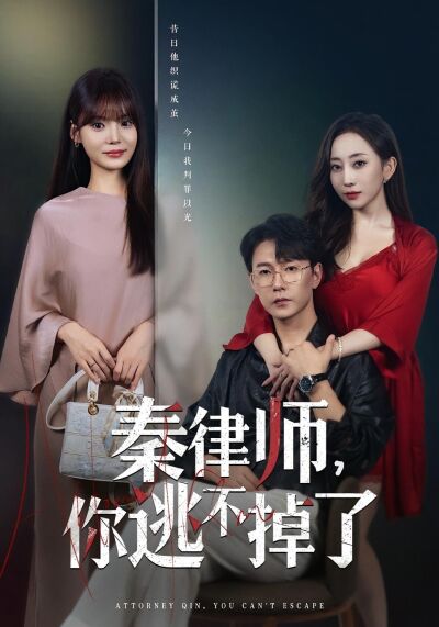 秦律师，你逃不掉了