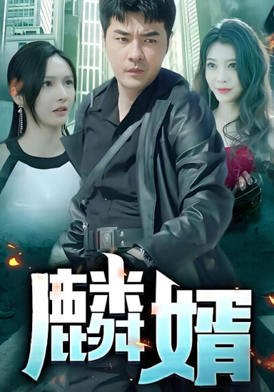 麟婿
