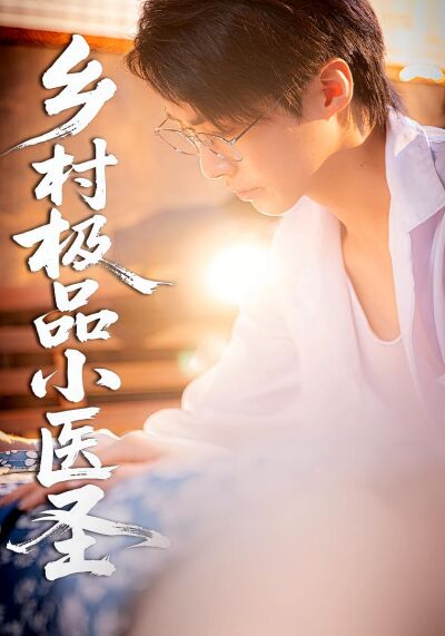 乡村极品小医圣