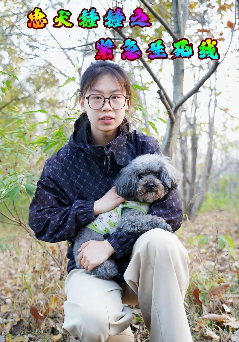 忠犬錘錘之緊急生死線