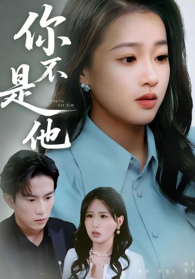 你不是他