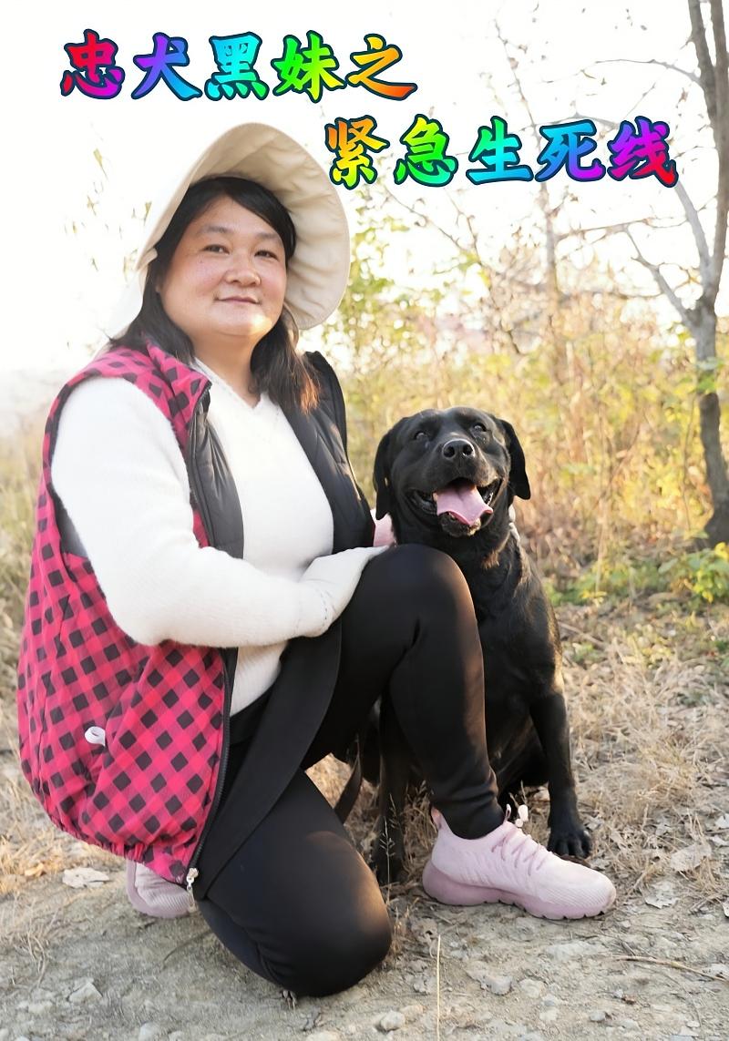 忠犬黑妹之緊急生死線