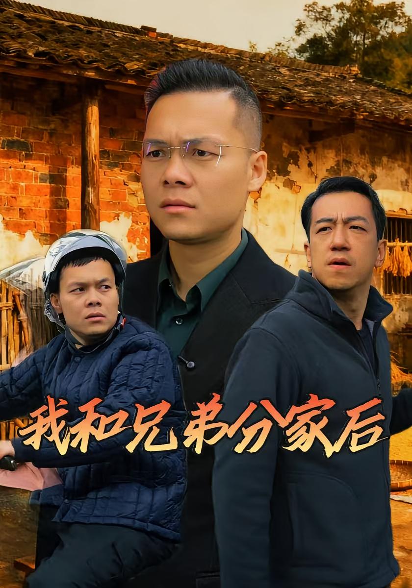 我和兄弟分家後