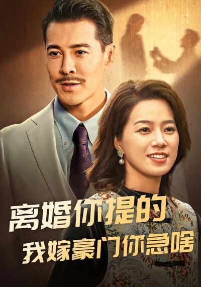 离婚你提的我嫁豪门你急啥