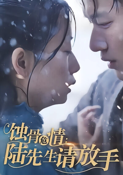 蚀骨危情：陆先生请放手