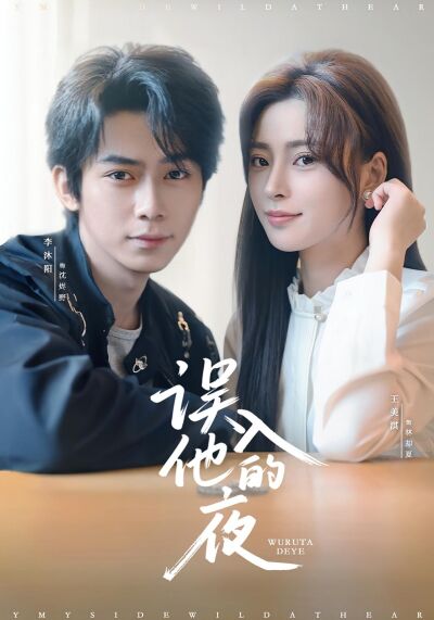 误入他的夜