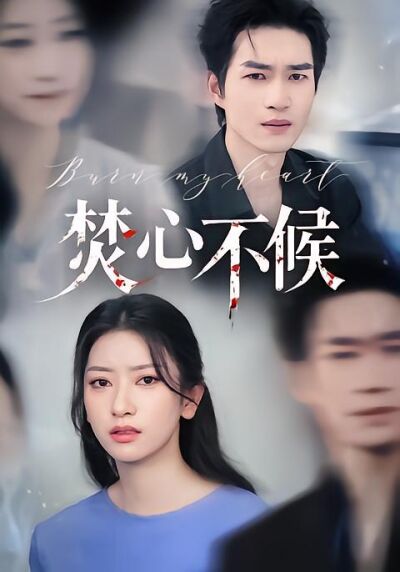 焚心不候