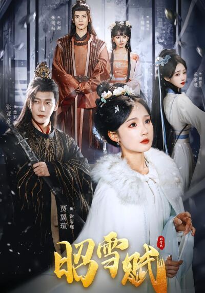 昭雪赋