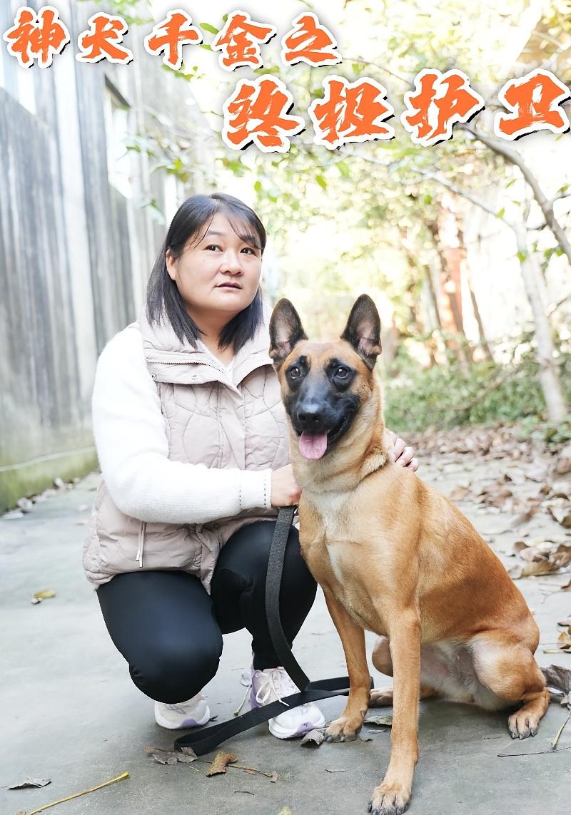 神犬千金之終極護衛