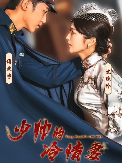 少帅的冷情妻