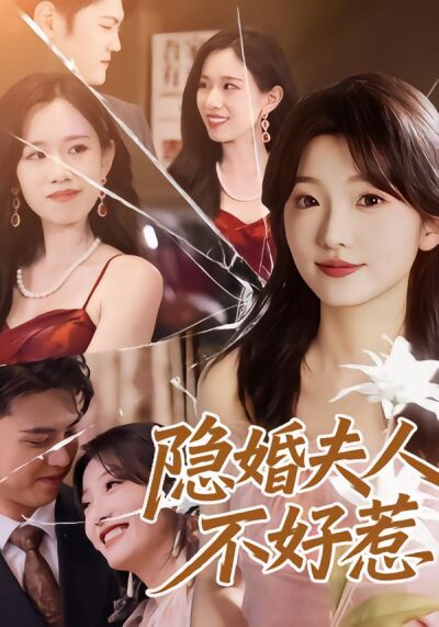 隐婚夫人不好惹