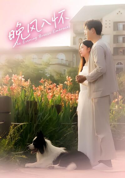 晚风入怀
