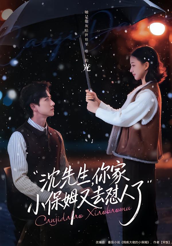 沈先生，你家小保姆又去懟人了
