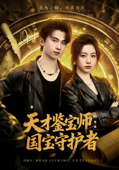 天才鉴宝师：国宝守护者