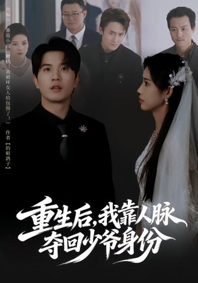 重生後，我靠人脈奪回少爺身份