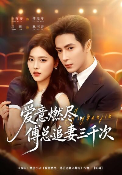爱意燃尽，傅总追妻三千次