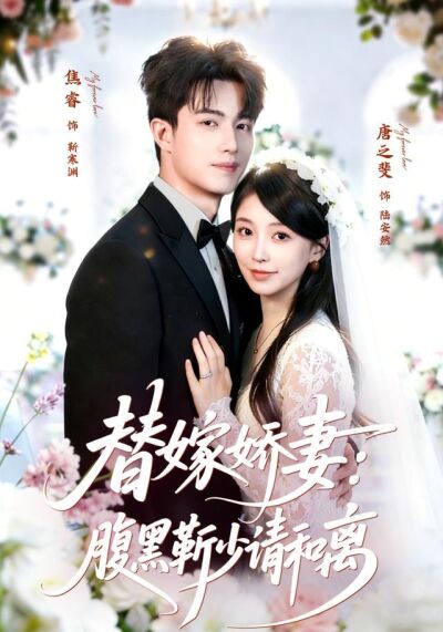 替嫁娇妻：腹黑靳少请和离