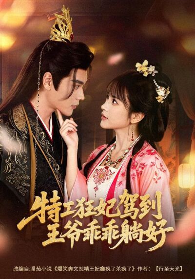 特工狂妃駕到，王爺乖乖躺好