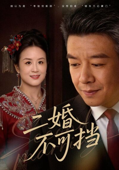 二婚不可挡