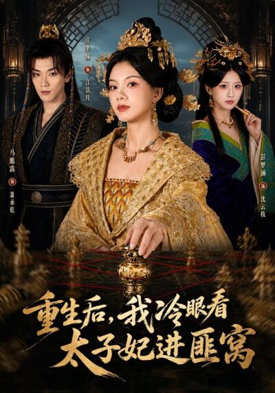 重生後，我冷眼看太子妃進匪窩