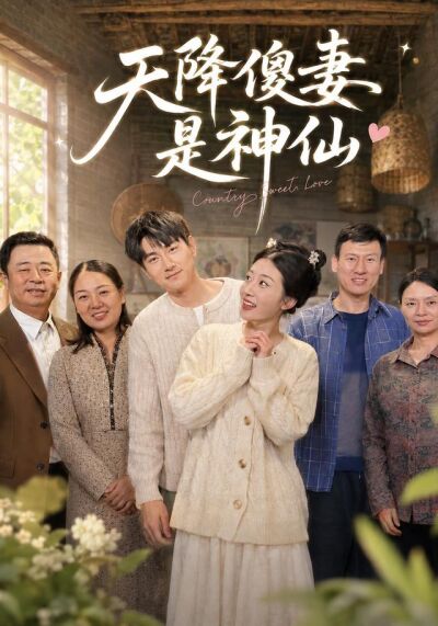 天降傻妻是神仙