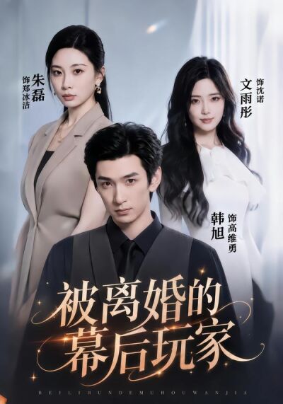 被离婚的幕后玩家