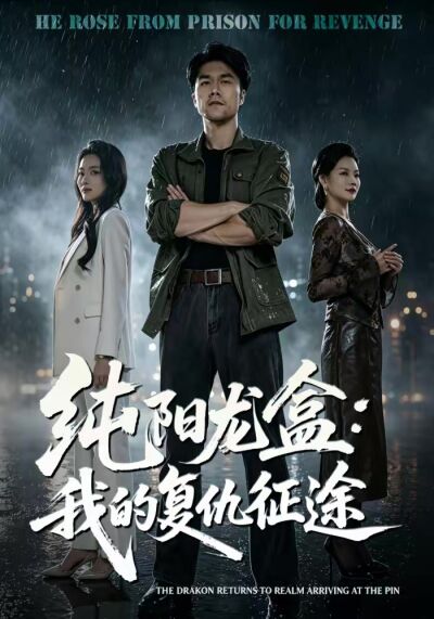 纯阳龙盒：我的复仇征途