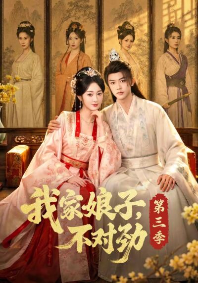 我家娘子，不对劲第三季