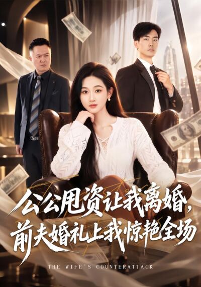 公公甩资让我离婚，前夫婚礼上我惊艳全场
