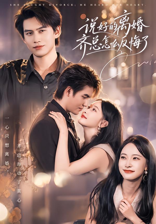 说好的离婚齐总怎么反悔了