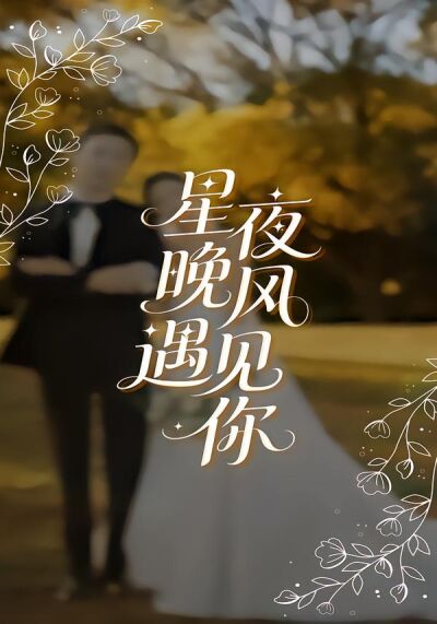星夜晚風遇見你