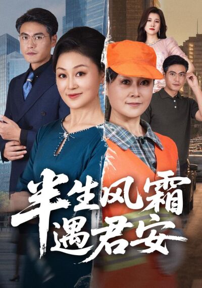 半生風霜遇君安
