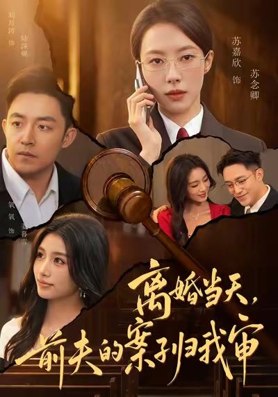离婚当天，前夫的案子归我审